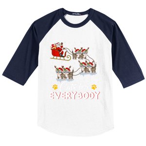 Santa Sleigh Cat Matching Cats For Everybody Christmas Gift Baseball Sleeve Shirt