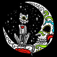 Sugar Skull Cat Moon Dia De Los Muertos Halloween Costume 16 in Basic Backpack