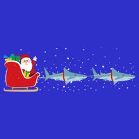 Shark Santa Christmas Sleigh Funny Shark Xmas Gift Tall T-Shirt
