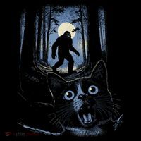 Surprised Scared Cat Selfie With Bigfo Ot Sasquatch Stripe Pom Pom Beanie