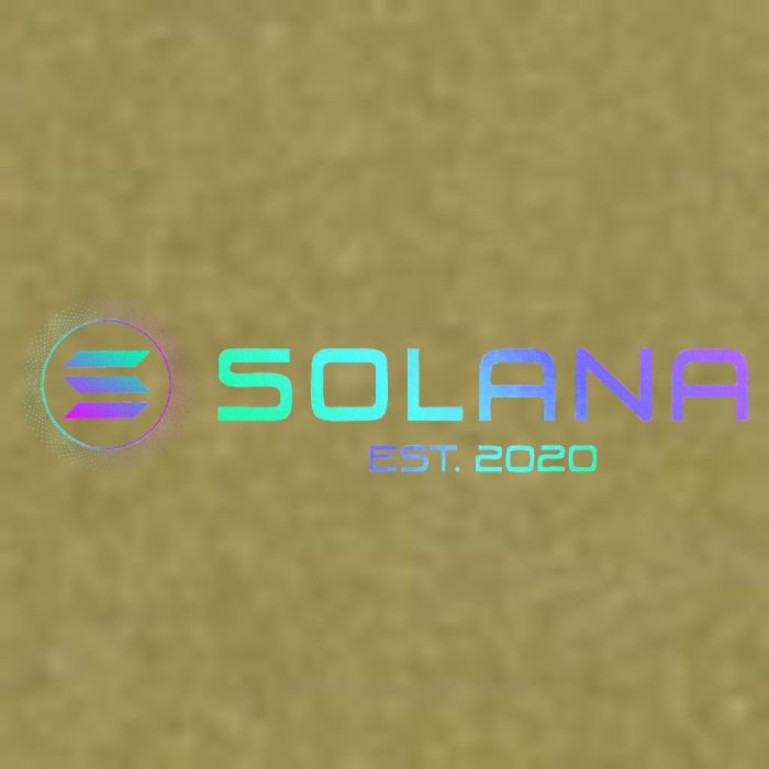 Solana Sol Coin Crypto Logo Blockchain Solana Garment-Dyed Women's Muscle Tee