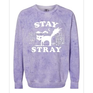 Stay Stray Cat Funny Black Cats Adventure Colorblast Crewneck Sweatshirt