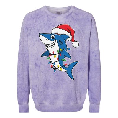 Santa Shark Christmas Lights Sharkmas Tree Xmas 2024 Colorblast Crewneck Sweatshirt