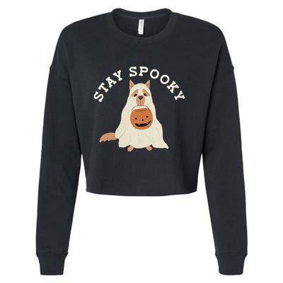 Stay Spooky Dog With Pumpkin Horror Lover Gifts Cropped Pullover Crew