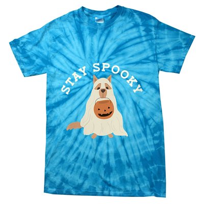 Stay Spooky Dog With Pumpkin Horror Lover Gifts Tie-Dye T-Shirt