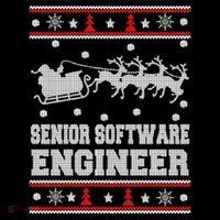 Senior Software Engineer Ugly Christmas Wool Snapback Cap