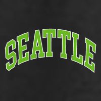 Seattle Adult Drive Performance Visor