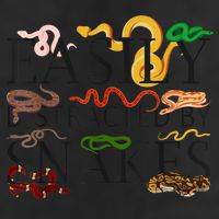 Snake Serpent Easily Distracted By Snakes Cool Comfort Performance Bucket Hat