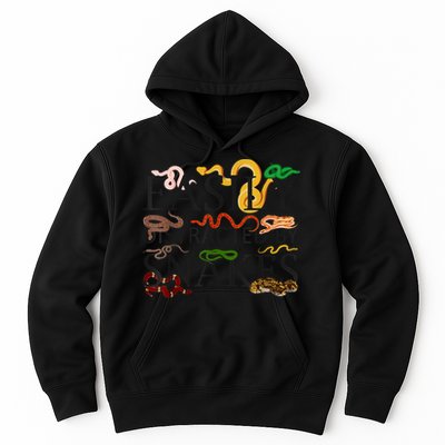 Snake Serpent Easily Distracted By Snakes Hoodie