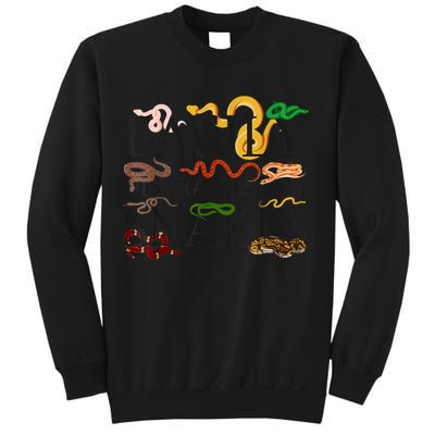 Snake Serpent Easily Distracted By Snakes Sweatshirt