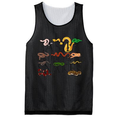 Snake Serpent Easily Distracted By Snakes Mesh Reversible Basketball Jersey Tank