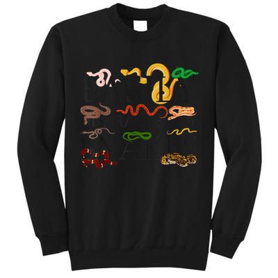 Snake Serpent Easily Distracted By Snakes Tall Sweatshirt