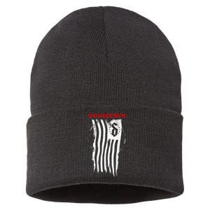 Shinedown Shredded Flag Sustainable Knit Beanie