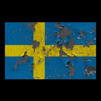 Sweden Stone Flag Cooling Performance Crew T-Shirt