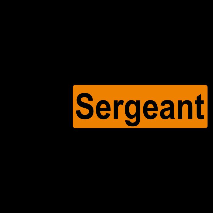Step Sergeant Funny Military Mug