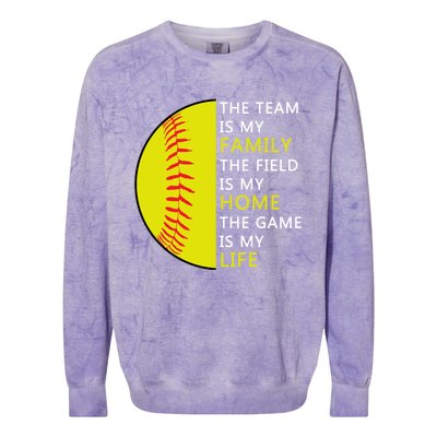 Softball Senior Funny Gift Softball Coach Funny Gift Colorblast Crewneck Sweatshirt