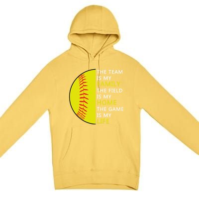 Softball Senior Funny Gift Softball Coach Funny Gift Premium Pullover Hoodie