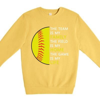 Softball Senior Funny Gift Softball Coach Funny Gift Premium Crewneck Sweatshirt