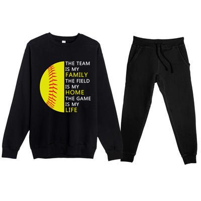 Softball Senior Funny Gift Softball Coach Funny Gift Premium Crewneck Sweatsuit Set