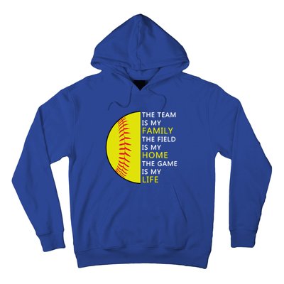 Softball Senior Funny Gift Softball Coach Funny Gift Hoodie