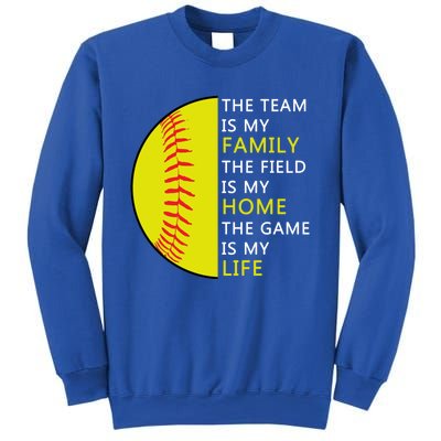 Softball Senior Funny Gift Softball Coach Funny Gift Sweatshirt