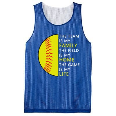 Softball Senior Funny Gift Softball Coach Funny Gift Mesh Reversible Basketball Jersey Tank