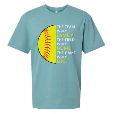 Softball Senior Funny Gift Softball Coach Funny Gift Sueded Cloud Jersey T-Shirt