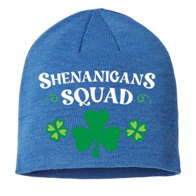 Shenanigans Squad Family Matching St Patricks Day Groups Gift Sustainable Beanie