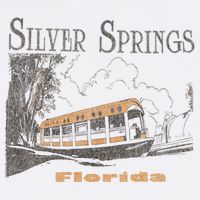 Silver Springs Florida Bucket Hat