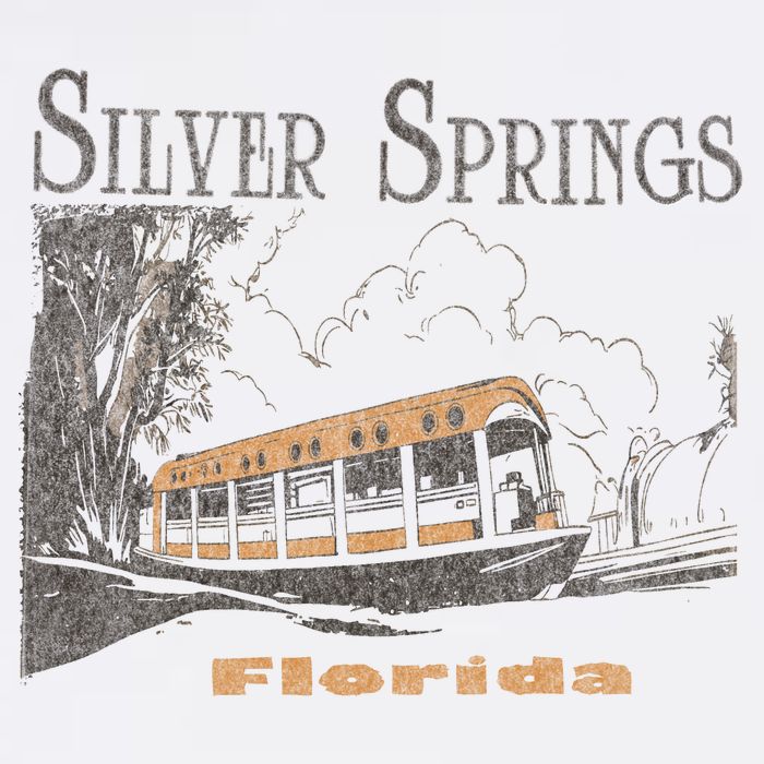 Silver Springs Florida Bucket Hat