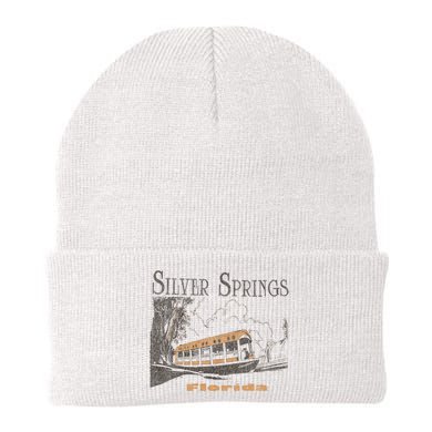 Silver Springs Florida Beanie