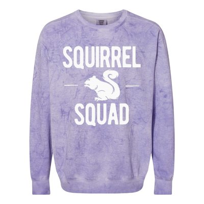 Squirrel Squad Funny Colorblast Crewneck Sweatshirt