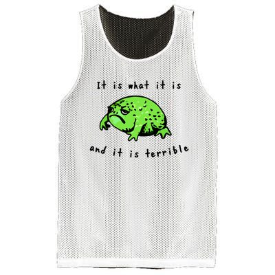 Shithead Steve Frog It Is What It Is And It Is Terrible Mesh Reversible Basketball Jersey Tank