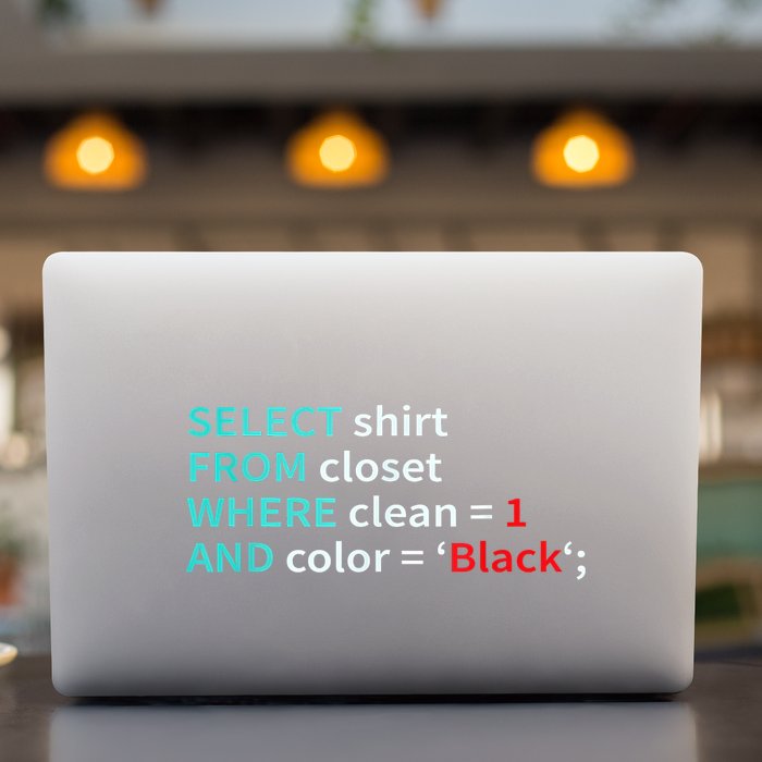 Sql Select From Closet Funny Coder Database Admin Permanent Decal Sticker