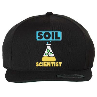 Soil Scientist Farmer Soil Science Agriculturists Funny Gift Wool Snapback Cap