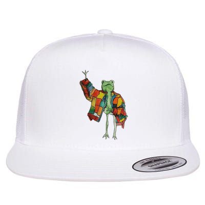 Soulisfree Stylish Frog Ix Funny Fashion Frog With Colorful Flatbill Hat