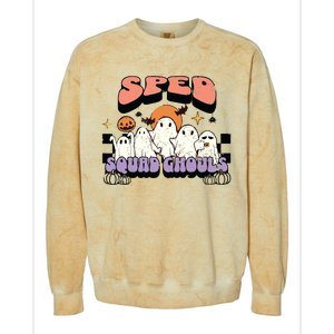 Sped Squad Ghoul Special Education Teacher Halloween Costume Colorblast Crewneck Sweatshirt