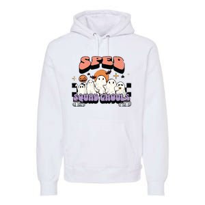 Sped Squad Ghoul Special Education Teacher Halloween Costume Premium Hoodie