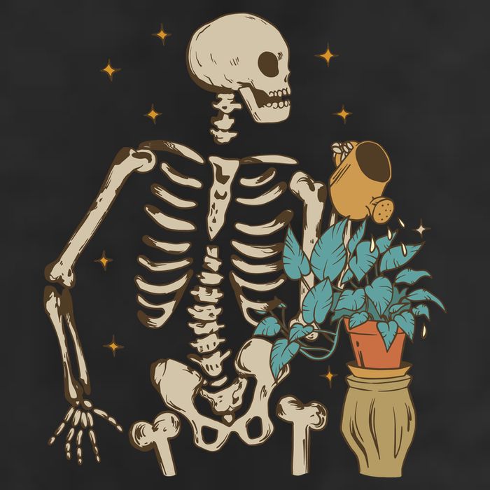Skeleton Spring Garden Plant 25L Jumbo Tote