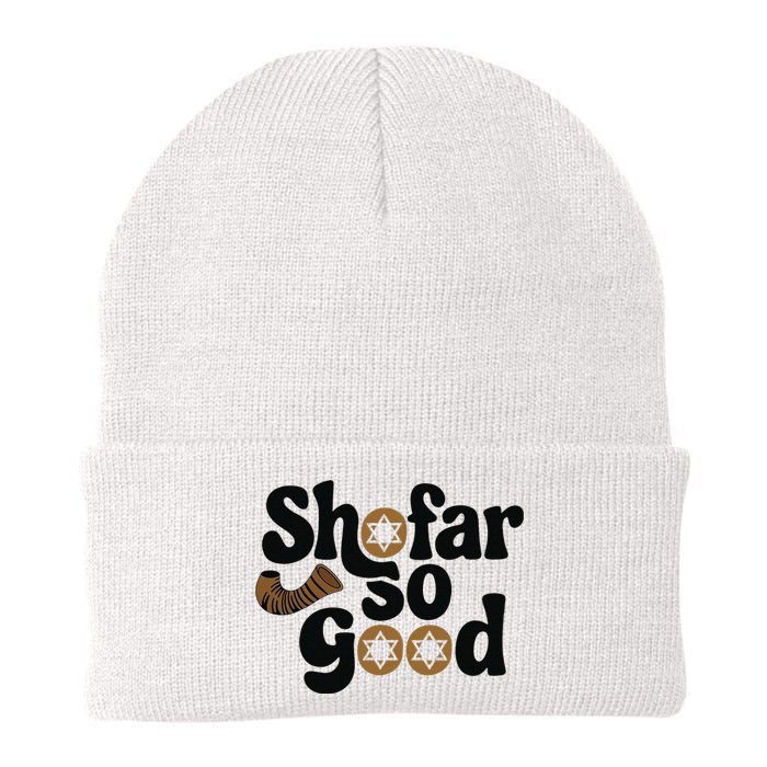 Shofar So Good Funny Rosh Hashanah Jewish Holiday Knit Cap Winter Beanie