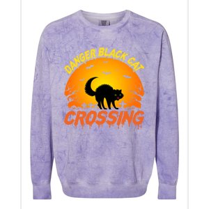 Scary Spooky Halloween Graveyard Cat Crossing Great Gift Colorblast Crewneck Sweatshirt