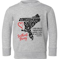Southeast Strong Hurricane Helene Survivor When You Go Through Deep Wat Toddler Sweatshirt
