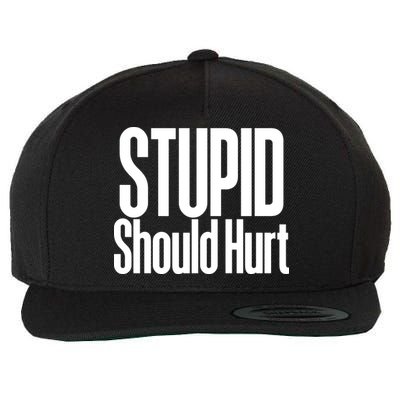 Stupid Should Hurt Wool Snapback Cap