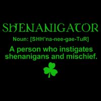 Shenanigator Sustainable Beanie