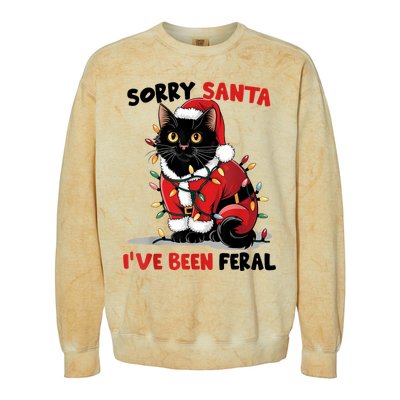 Sorry Santa IVe Been Feral Black Cat Christmas Funny Colorblast Crewneck Sweatshirt