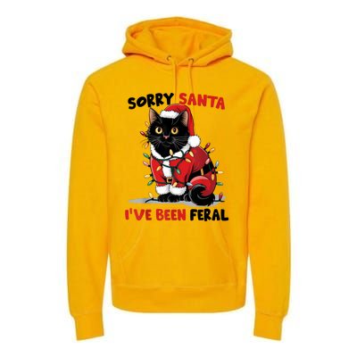 Sorry Santa IVe Been Feral Black Cat Christmas Funny Premium Hoodie