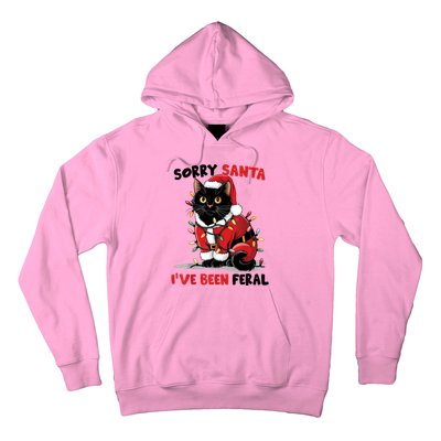 Sorry Santa IVe Been Feral Black Cat Christmas Funny Hoodie