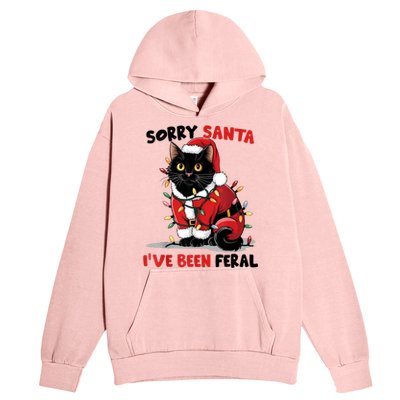 Sorry Santa IVe Been Feral Black Cat Christmas Funny Urban Pullover Hoodie