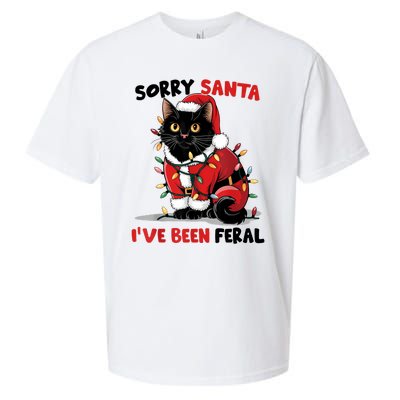 Sorry Santa IVe Been Feral Black Cat Christmas Funny Sueded Cloud Jersey T-Shirt