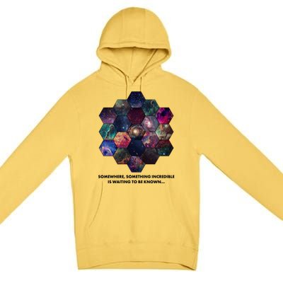 Somewhere Something Incredible Is Waiting To Be Known Premium Pullover Hoodie